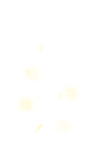 Fortress Shield