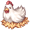 小鸡