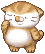 滷哥