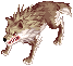 デザートウルフ