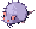 Rato