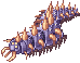 Centipede Of Iceberg