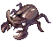 E_KIND_OF_BEETLE