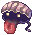 Swift Shellfish