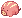 Swift Savage Bebe