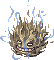 C2_GLD_DARK_SHADOW