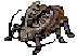 Mysterious Bug