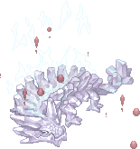 甦醒水晶龍