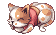 幼いニャンコ