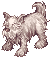 犬
